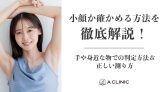 小顔か確かめる方法を徹底解説！手や身近な物での判定方法＆正しい測り方