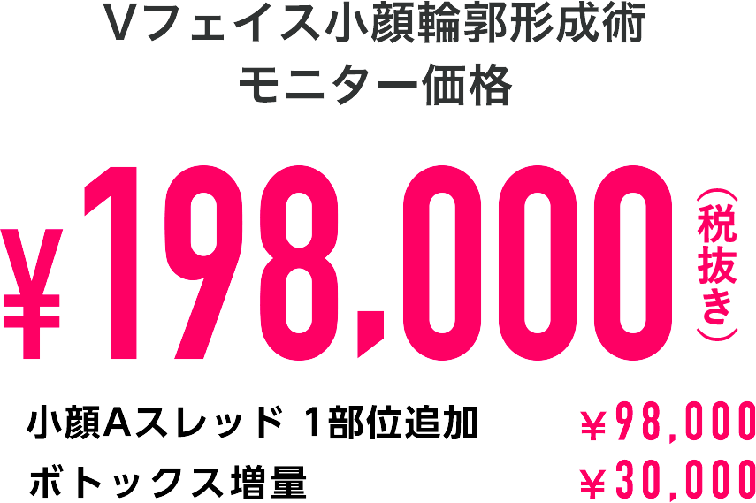 Vフェイス 198,000円