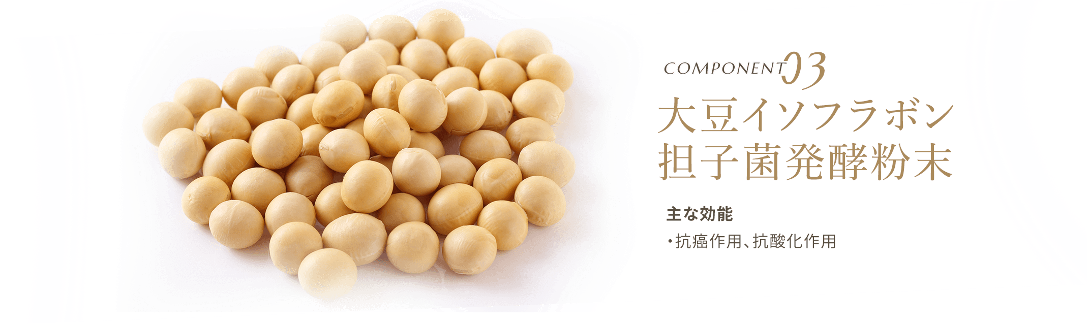 大豆イソフラボン 担子菌発酵粉末 主な効能は・抗癌作用、抗酸化作用