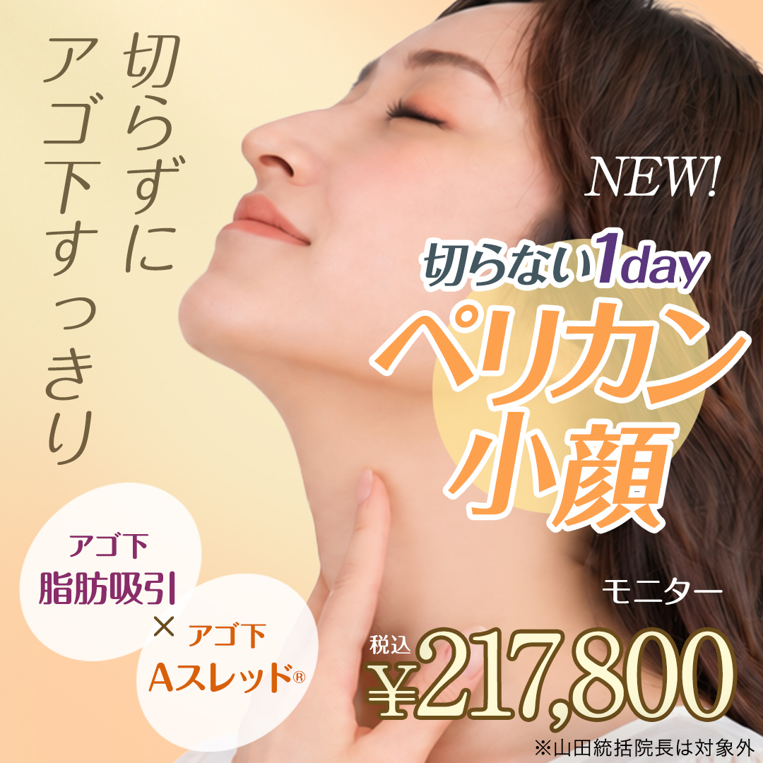 切らない1dayペリカン小顔