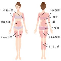 ウルトラスマスセラボディ