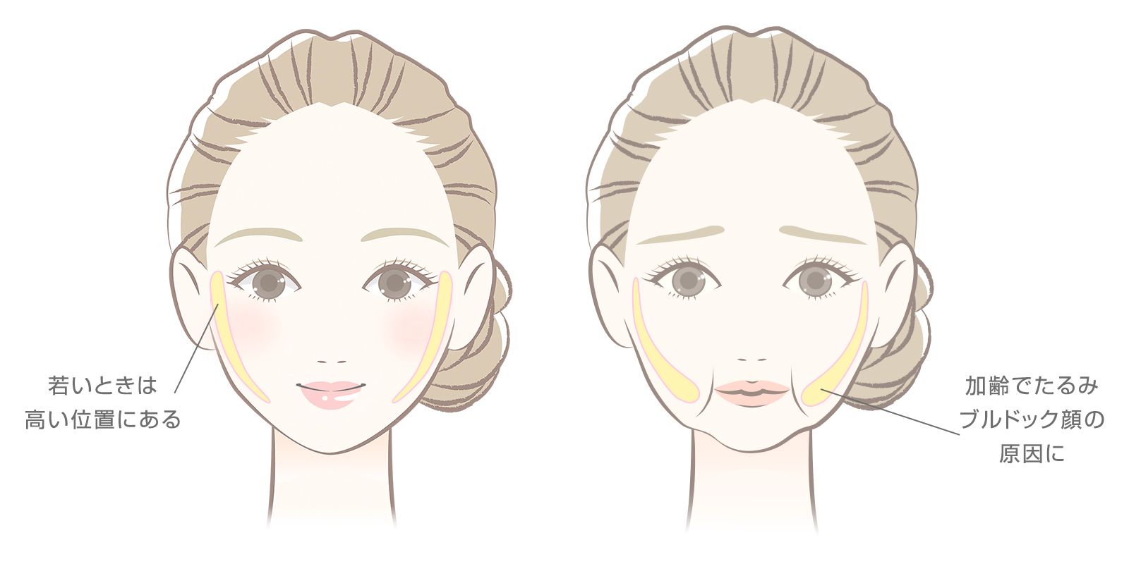 手続きにかかる費用はいくらですか?